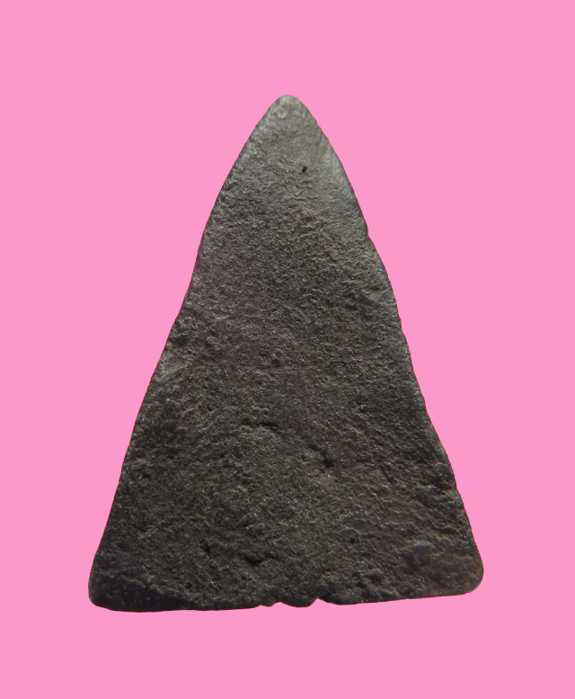 นางพญา เนื้อผงคลุกรัก