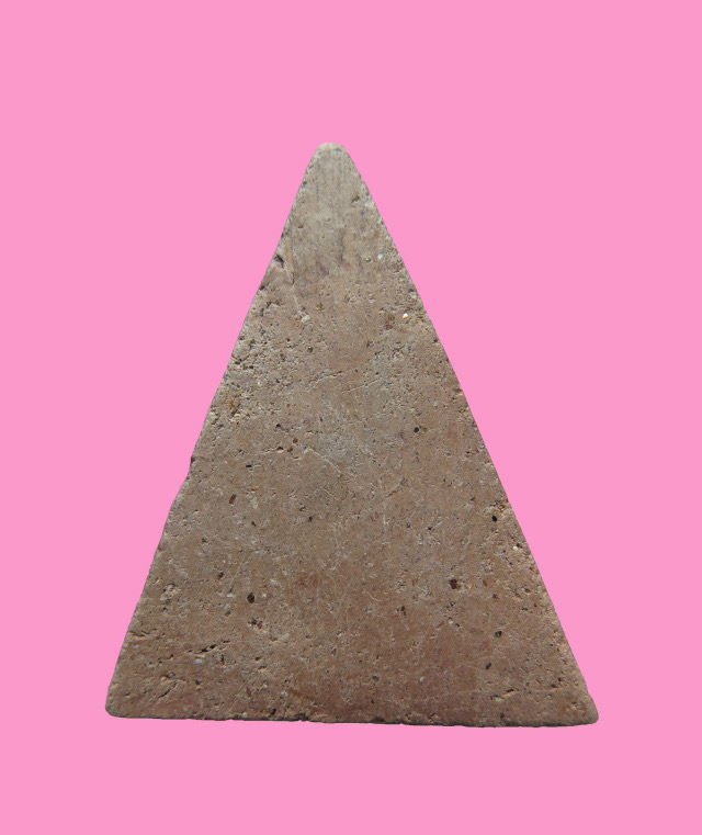 นางพญา เนื้อดิน