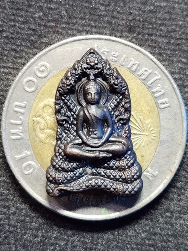 วัดเขาแหลม สระแก้ว เหรียญนาคปรก  หลวงปู่กาหลง เขี้ยวแก้ว หลังพระสยามเทวาธิราช  รุ่นไหว้ครู 2551 นวะ