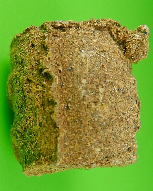 ลูกไฟบรรลัยกัลป์ อ.หรีด วัดป่าโมกข์ พังงา .84.