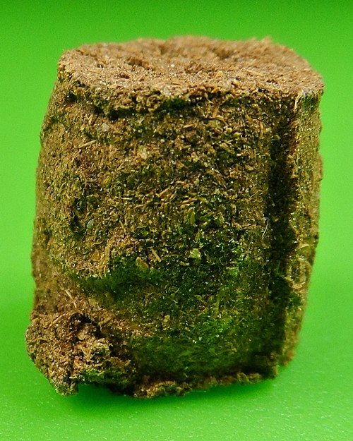 ลูกไฟบรรลัยกัลป์ อ.หรีด วัดป่าโมกข์ พังงา .84.