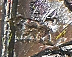 เหรียญสมเด็จโตปางจับยามสามตา วัดโล่ห์สุทธาวาส อ่างทอง .491.