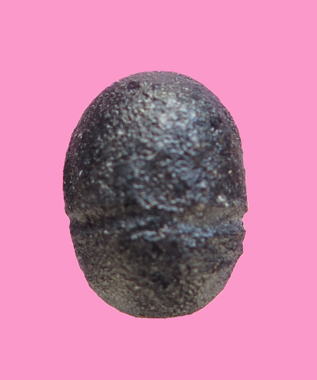 พระปิดตา เม็ดมะยม เนื้อผงคลุกรัก (สูงประมาณ 0.8 ซม.)