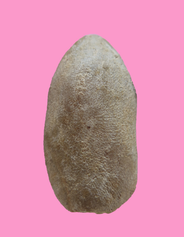 พระขุนแผน เนื้อผงน้ำมัน จัดมาก