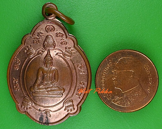 เหรียญเต่า วัดพฤกษะวัน พิจิตร .1319.