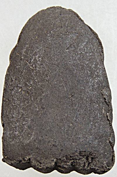 ๒๐ หลวงปู่ทวด เนื้อว่าน