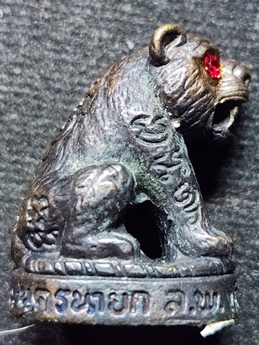 วัดโพธิ์แทน นครนายก เสือตาแดง หลวงพ่อเกิด ก้นติดหนังเสือ