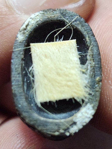 วัดโพธิ์แทน นครนายก เสือตาแดง หลวงพ่อเกิด ก้นติดหนังเสือ