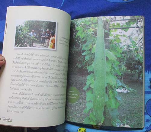 หนังสือ ไสว ศรียา เกาตรกร คิดต่าง อารมรมณ์ดี