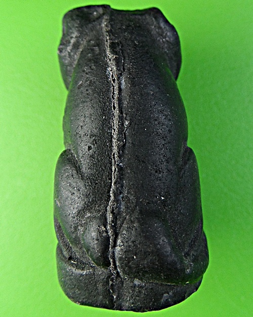 เสือเขี้ยวดาบ(ผง)วัดปริวาสราชสงคราม กทม. .2019.