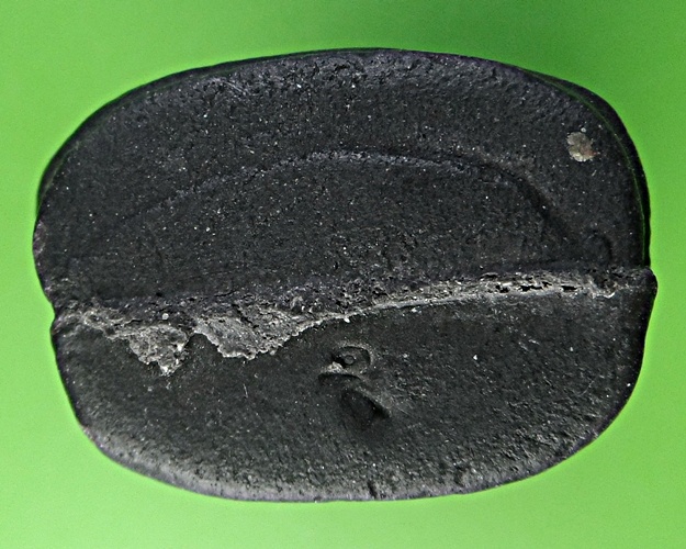 เสือเขี้ยวดาบ(ผง)วัดปริวาสราชสงคราม กทม. .2019.