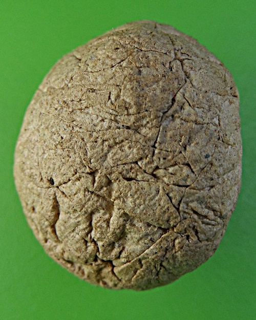 ชานหมากญาท่านเขียน ป่าช้าโพนสิม อุบลราชธานี(1) .2149.