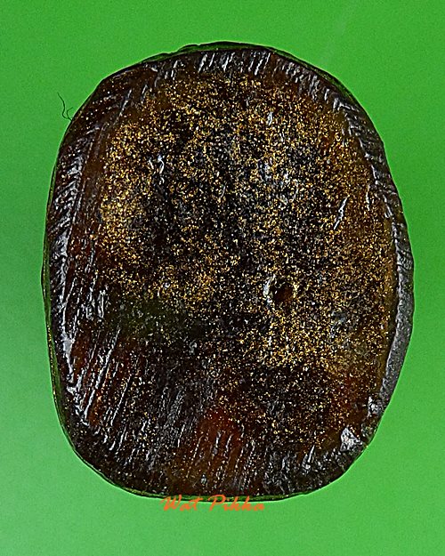 หมูทองแดง หลวงพ่อสมคิด วัดบึงตาต้า ระยอง .2257.