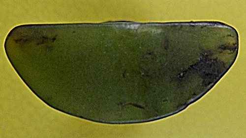 พระพุทธหยก หลวงพ่อวิริยังค์ วัดธรรมมงคล กทม. .2458.