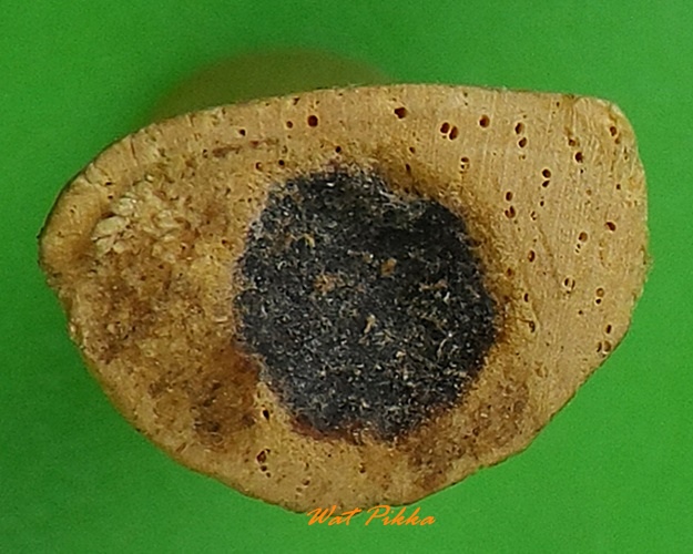 พระปิดตาเนื้อไม้อุดผง ไม่ทราบที่ .2956.