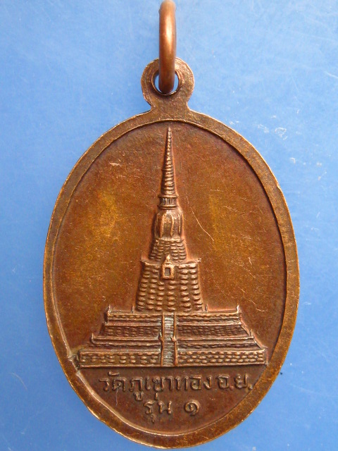 เหรียญหลวงพ่อเสือ วัดภูเขาทอง จ.อยุธยา รุ่น 1