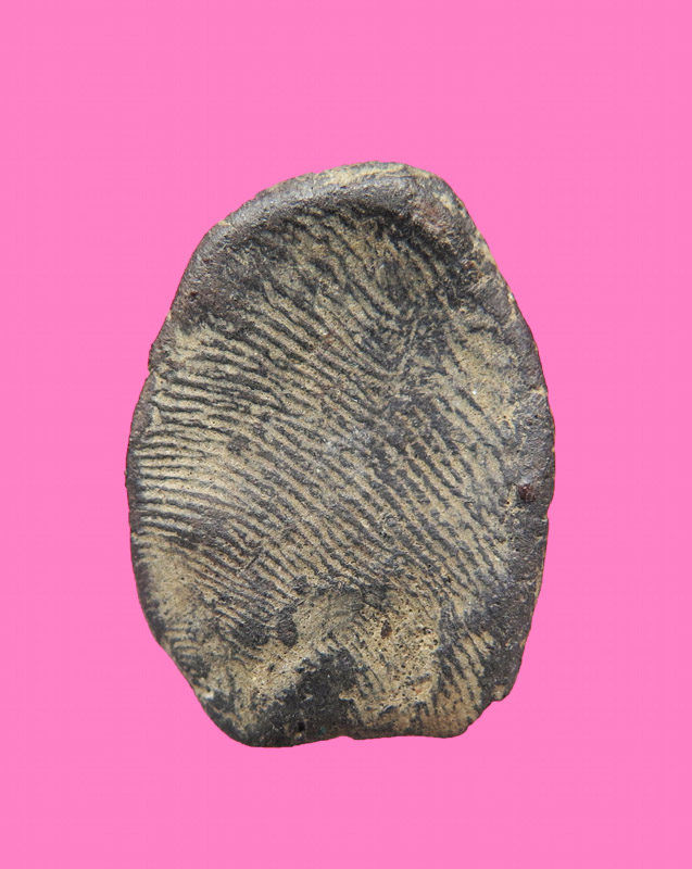 พระร่วงนั่ง เนื้อดิน เก่า ไม่ทราบวัด