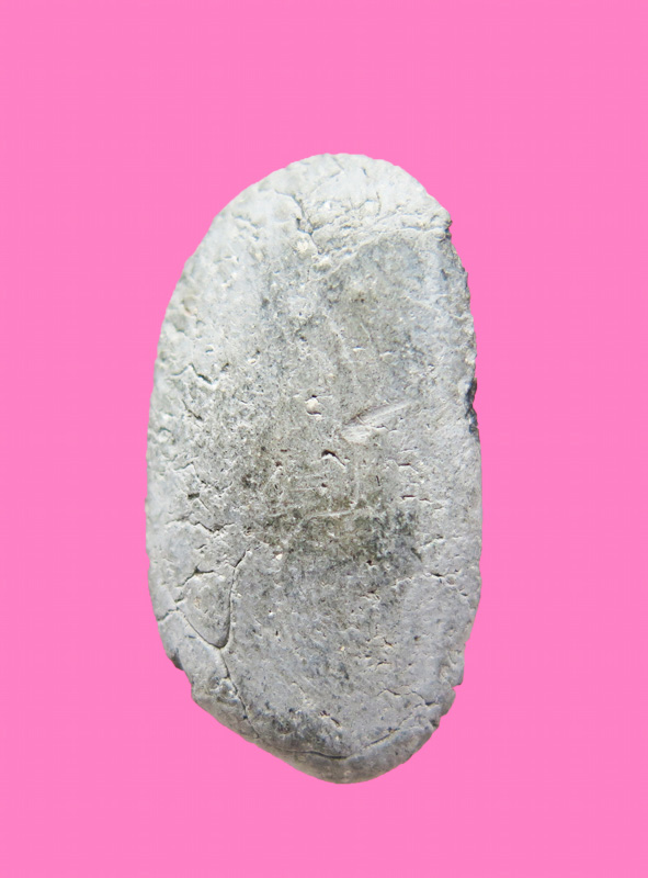 พระลีลากำแพงนิ้ว เนื้อผง เก่า