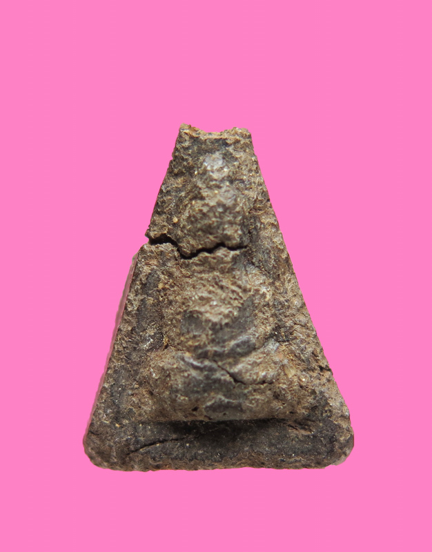 นางพญาเนื้อว่าน สูง 1 ซม. เก่าจัด