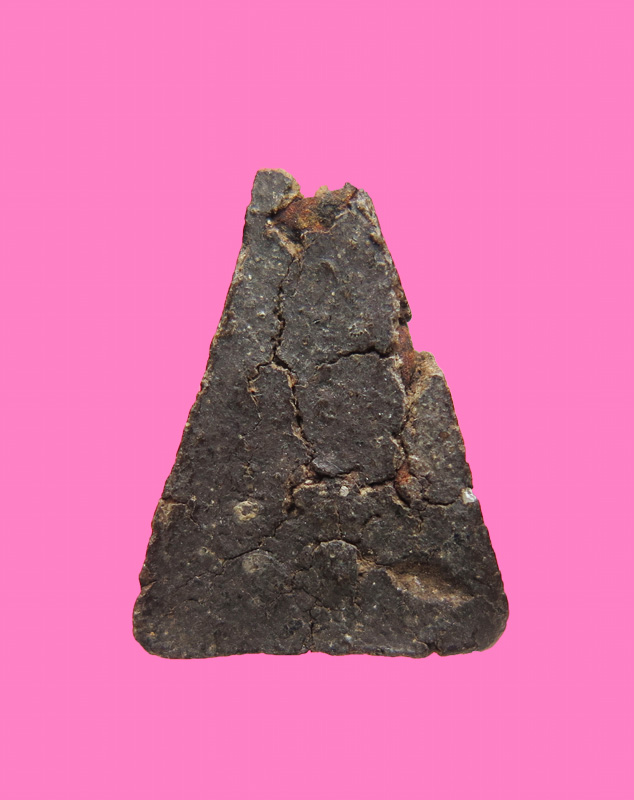 นางพญาเนื้อว่าน สูง 1 ซม. เก่าจัด