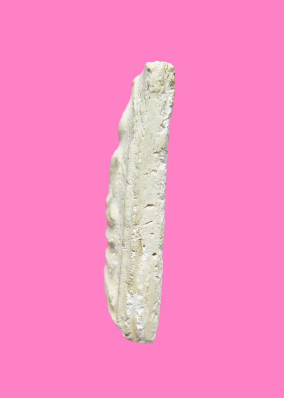 สมเด็จ เนื้อขาวๆ มีเกสาเส้นนึง