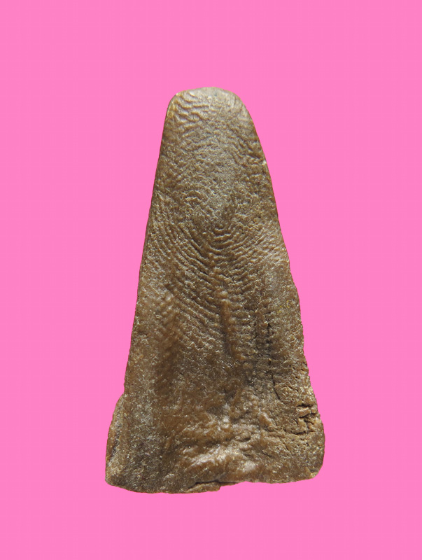 ผงสุพรรณหลังย่น เนื้อผงน้ำมัน 