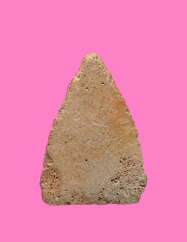 นางพญาเนื้อดิน เก่าจัง