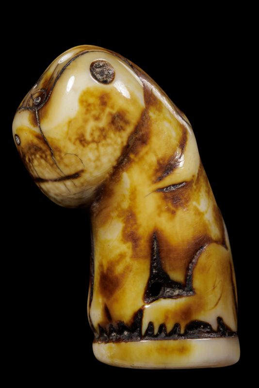 เสือเก่าจริงมีรอยจาร