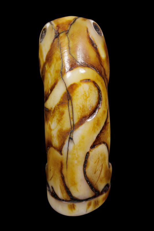 เสือเก่าจริงมีรอยจาร