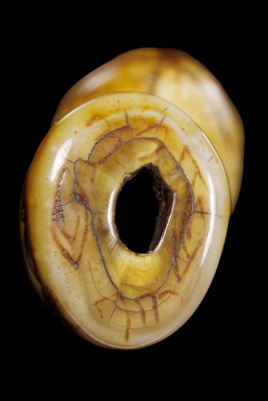 เสือเก่าจริงมีรอยจาร