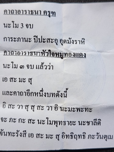 วัดบางนา จ.ปทุมธานี. พญาหมูเขี้ยวตัน หลวงพ่อเส็ง รุ่น ๑๑๓ ปี 2556