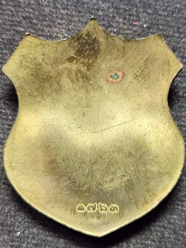 วัดชินวรารามวรวิหาร จ.ปทุมธานี เหรียญโล่พระพรหม หลวงพ่อชำนาญ ไตรมาส ปี 61