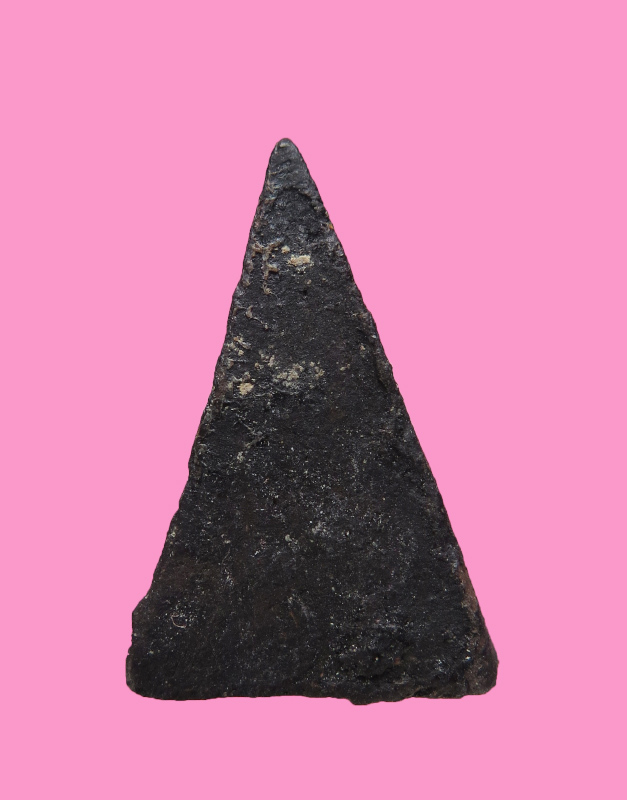 นางพญาเนื้อผงคลุกรัก