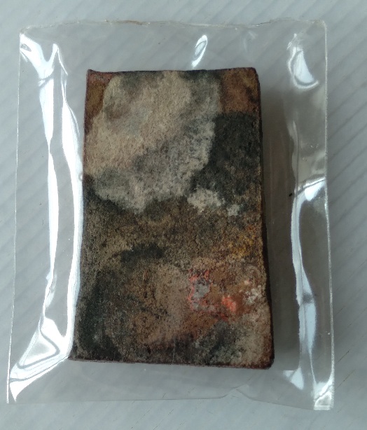 พระสมเด็จปรกโพธิ์ฐานบัวหลวงพ่อก๋วน วัดตะเคียน จ.ระยอง