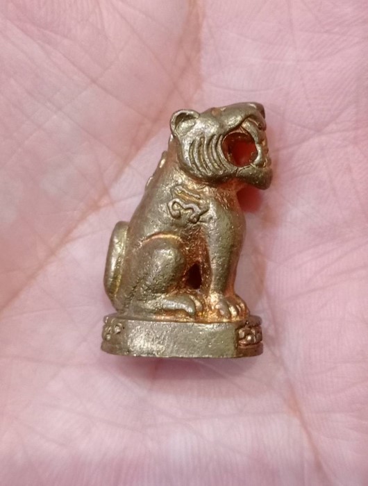 เสือ รุ่น 2 หลวงปู่ตี๋ วัดหลวงราชาวาส(4)