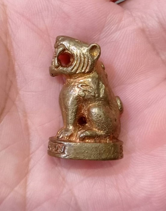 เสือ รุ่น 2 หลวงปู่ตี๋ วัดหลวงราชาวาส(4)