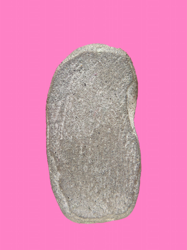 นาคปรกเนื้อดิน