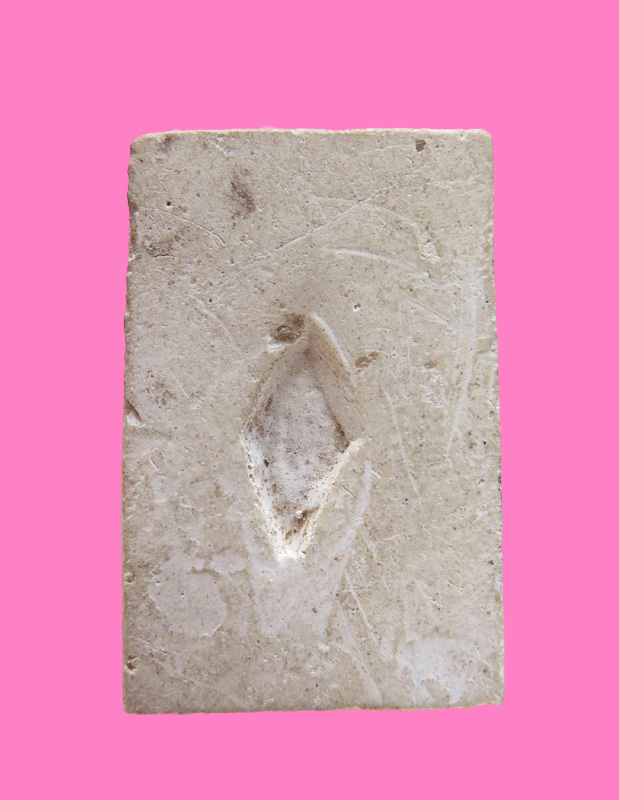 สมเด็จหลังกดข้าวหลามตัด