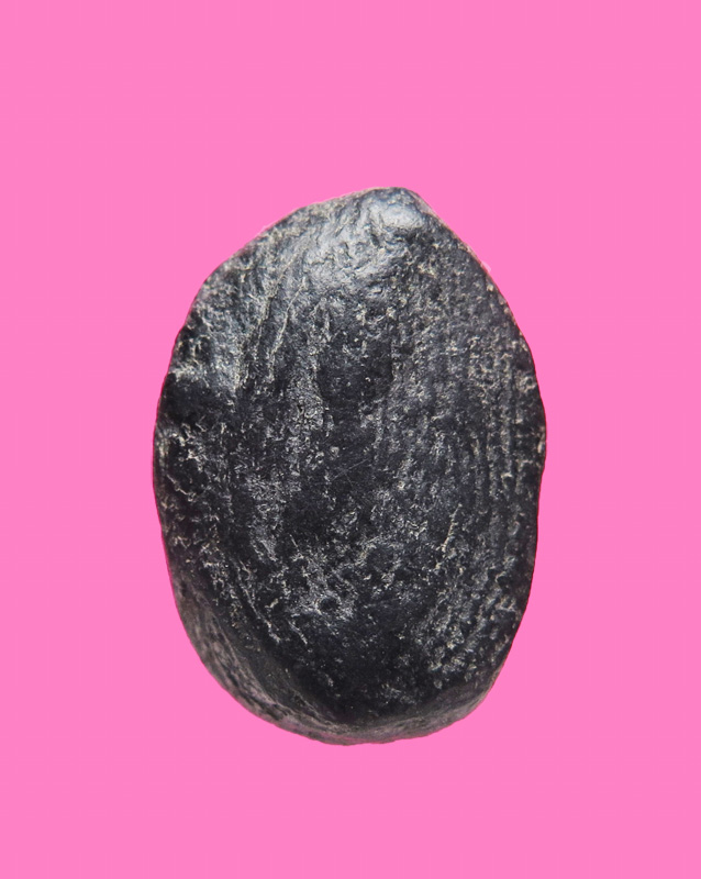 พระเนื้อดิน พิมพ์เม็ดบัว 