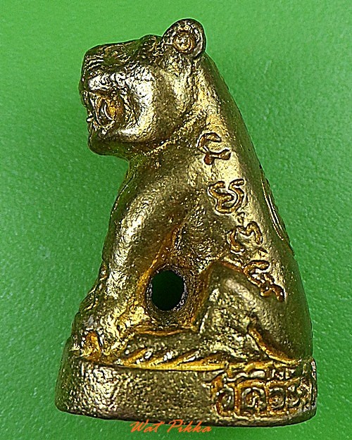 เสือพระอาจารย์องอาจ วัดวีระโชติธรรมาราม ฉะเชิงเทรา .3178.