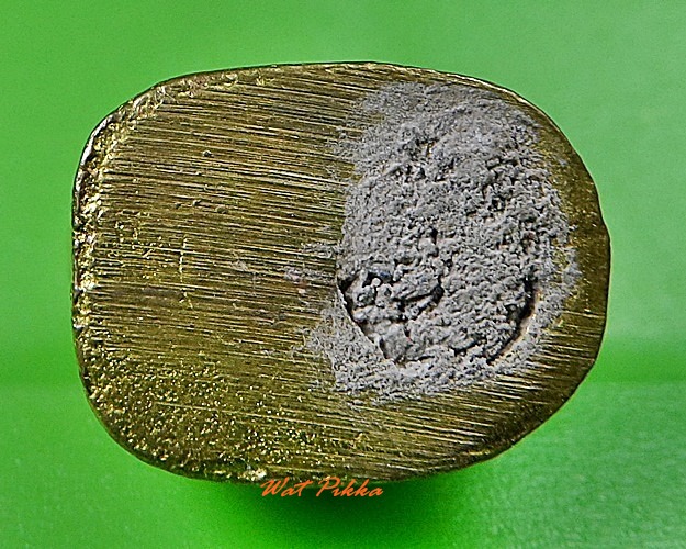 เสือพระอาจารย์องอาจ วัดวีระโชติธรรมาราม ฉะเชิงเทรา .3178.