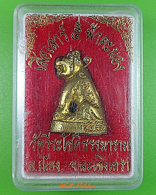 เสือพระอาจารย์องอาจ วัดวีระโชติธรรมาราม ฉะเชิงเทรา .3178.