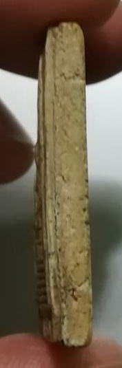 กำแพงแก้ว วัดบ้านกล้วย 2504(3) 	