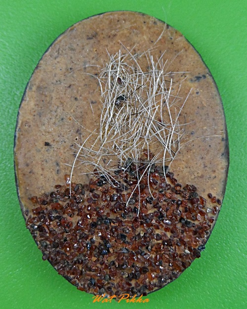 ล็อกเก็ตหลวงพ่อทอง วัดทองธรรมิการาม สมุทรสาคร .3420.