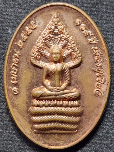 หลักเมืองภูเขียว ชัยภูมิ เหรียญพระนาคปรก หลังหลักเมืองภูเขียว ที่ระลึก 115 ปี  สร้างปี 2555