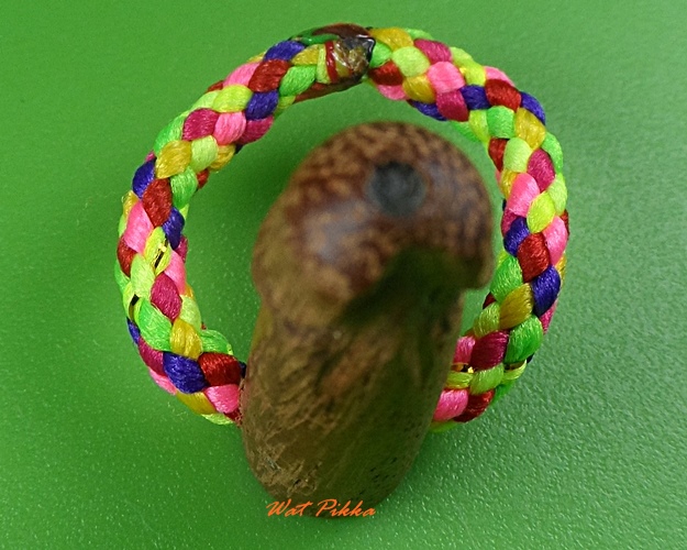 ปลัดขิกจิ๋วหลวงปู่สิงห์ วัดบ้านขี้เหล็ก ศรีสะเกษ .3880.