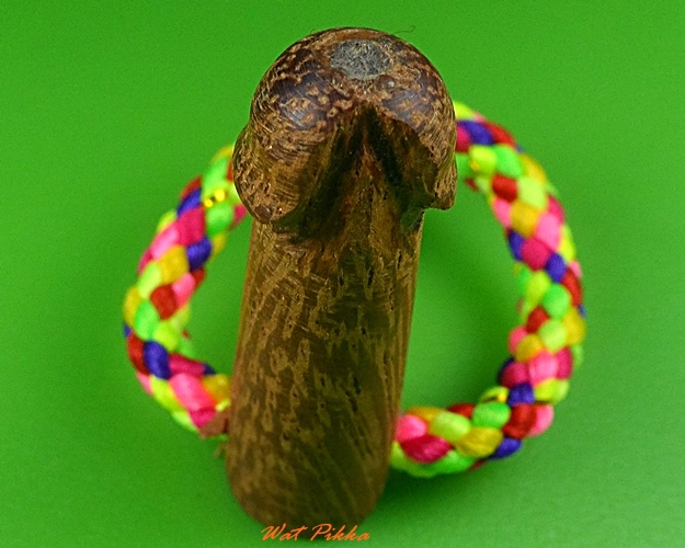 ปลัดขิกจิ๋วหลวงปู่สิงห์ วัดบ้านขี้เหล็ก ศรีสะเกษ .3881.