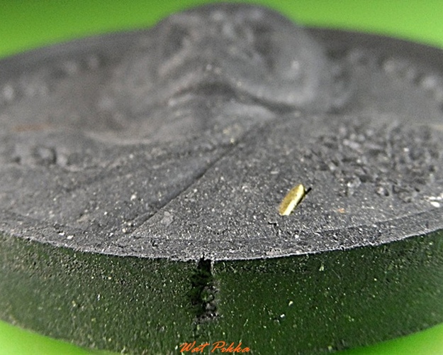 พระผงจันทร์ลอยหลวงพ่อชม วัดหลักสอง สมุทรสาคร .3996.