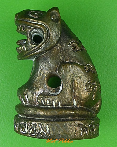 เสือหลวงพ่อชม วัดหลักสอง สมุทรสาคร .4000.