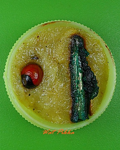 สีผึ้งเสน่ห์จันทรา อ.เปี๋ยง ฤๅษีแปลงสาร(ศิษย์เอกสำนักสักยันต์เก้ายอด) อุบลราชธานี .4213.